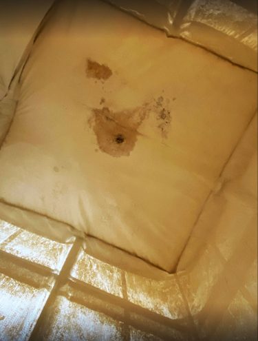 Dégâts causés par l'infiltration d'eau sur la toile filtrante du silo